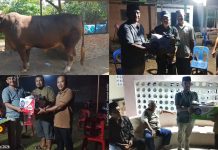 Jelang Idul Adha 1447 H, Camat Air Putih Monitoring 367 Hewan Qurban dan Salurkan Bantuan Presiden Prabowo